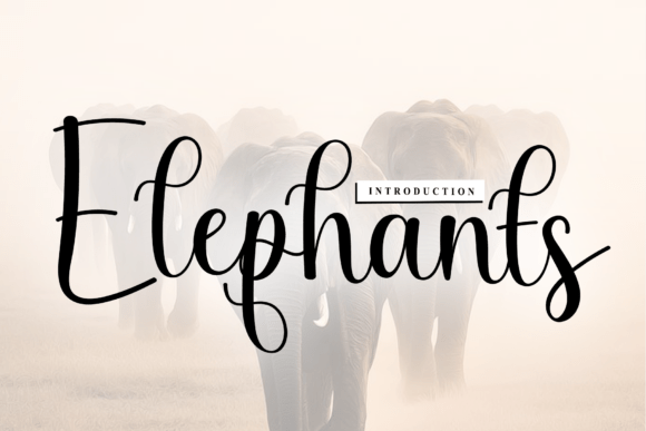 Elephants: A Sophisticated Script Font for Editorial Design
